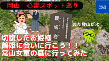 お出かけスポット ジャンクブログ ガブガブ お出かけスポット ジャンクブログ ガブガブ